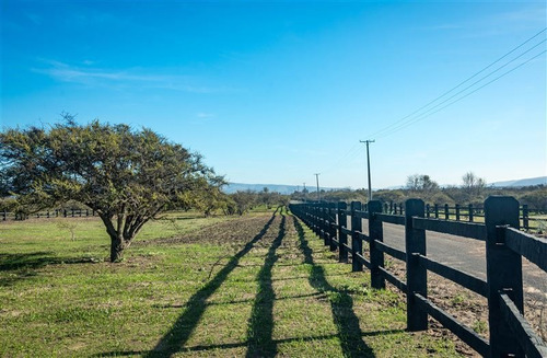 Imagen 5 de 28 de Agrícola En Venta En Zapallar