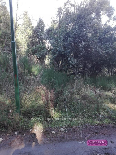 Imagen 11 de 14 de Lotes Comerciales En El Mercado - Villa La Angostura