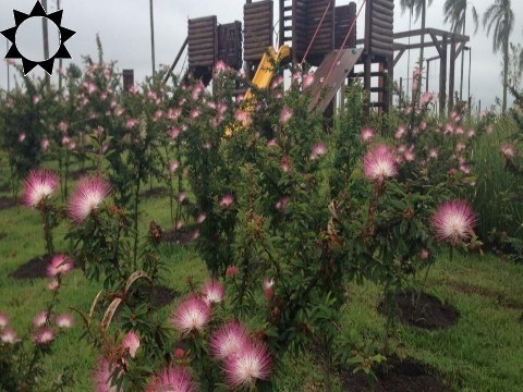 Imagem 16 de 23 de Terreno Santana Do Parnaíba - Tr01759 - 68316382