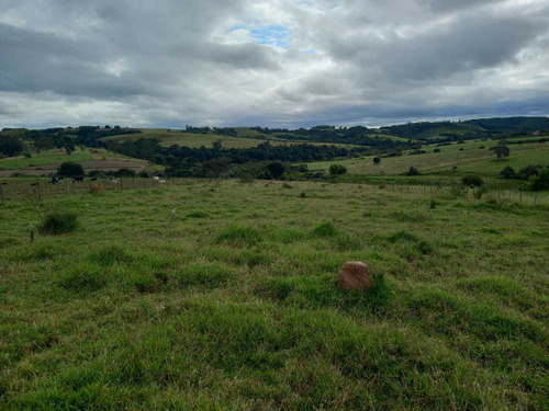 Imagem 2 de 5 de Dona Catarina Apresenta Chácaras Diretamente Na Planta