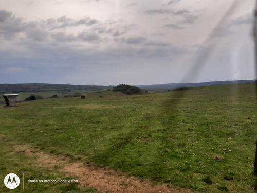 Imagem 5 de 5 de Fazenda Com 560 Hectares Para Lavoura E Pecuária Em Lavras