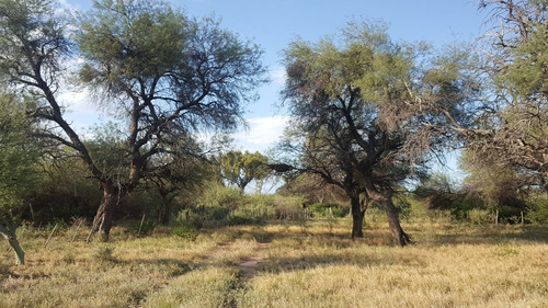 Imagen 2 de 14 de Oportunidadcampo Ganadero 1500ha Pozo Nuevo Cordoba 350 U$s