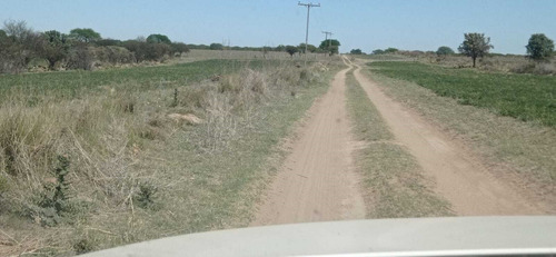 Imagen 13 de 15 de Terreno Campo En Venta Ubicado En La Maruja, Rancul