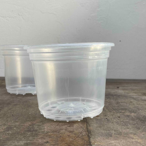 Kit 10 Vasos Transparentes Plástico 14cm P/ Orquídea Adulta