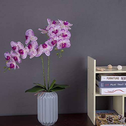 Hojas De Orquídea Fnize, 4 Pies Tallos De Phalaenopsis