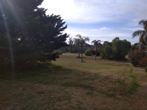 Imagen 3 de 12 de Venta Lote Solares Carcaraña 1