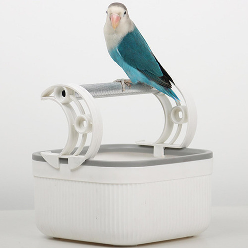 Soporte De Mesa De Pájaros Actividad De Percha Toy Toy