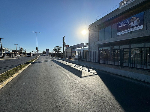 Arriendo Nuevo Local Comercial De 58 M2 Av.alberdi Quillota