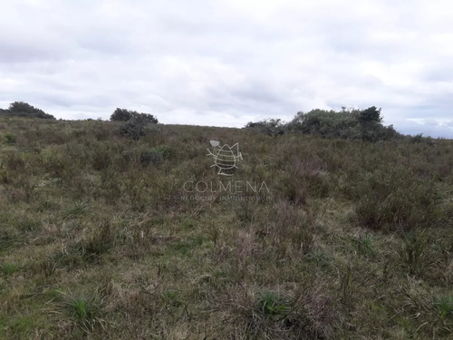 Campo 21 Has En Paraje José Ignacio