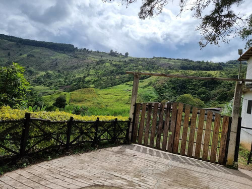 Imagen 4 de 14 de En Venta Hermosa Granja Sector Los Ranchos Vías Las Guamas