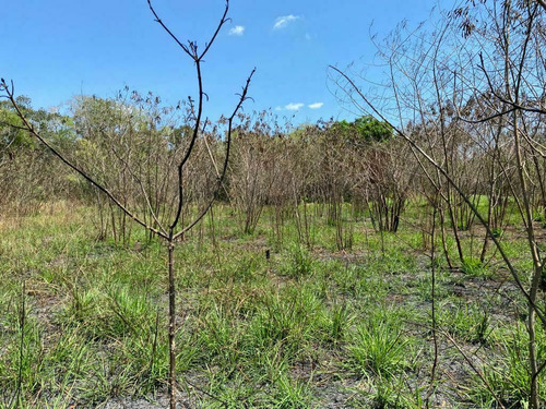 Terreno En Tekax 1,192 Hectareas Propiedad Privada