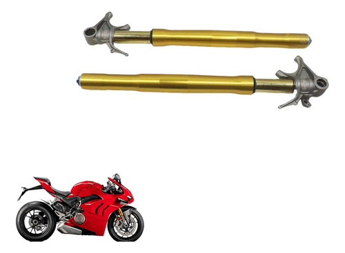 Par Bengalas Ducati Panigale V4 S 19-22 C/detalhe (515) (Usado)