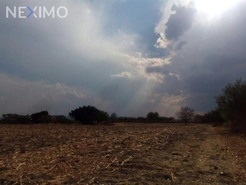 Imagen 2 de 5 de Oportunidad De Inversión Temixco, Morelos. Zona Conurbada De Cuernavaca Mx17-de5821 7124