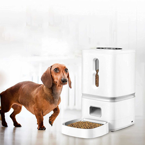 Dispensador Automatico Plato Alimento Mascota Perro Gato