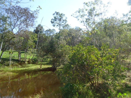 Imagem 12 de 14 de Sitio Próximo A Represa Ref 1291