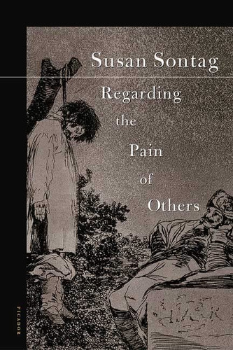 Regarding The Pain Of Others, De Susan Sontag. Editorial Picador Usa, Tapa Blanda En Inglés