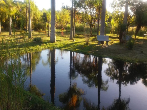 Imagem 21 de 21 de Chácara À Venda, 3750 M² Por R$ 750.000,00 - Aparecidinha - Sorocaba/sp - Ch0015