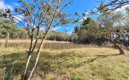 Lote En Venta En Vereda Yerbabuena. Cod V11970009