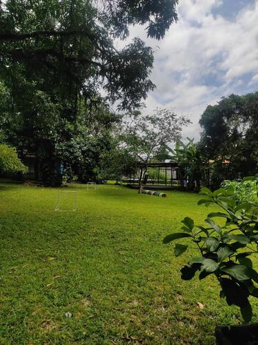 Imagem 7 de 15 de Cod.802 Sítio Em Barro Branco - Duque De Caxias - 13257