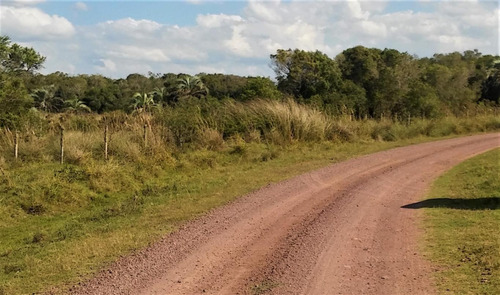 Campo Ganadero En San Luis, Rocha