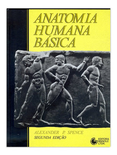 Anatomia Humana Básica