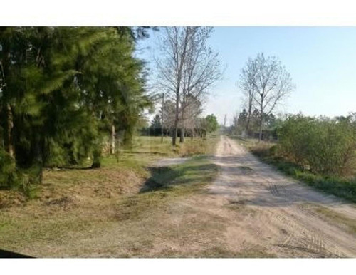 Imagen 2 de 2 de Venta De Terreno En Arroyo Leyes Km 10