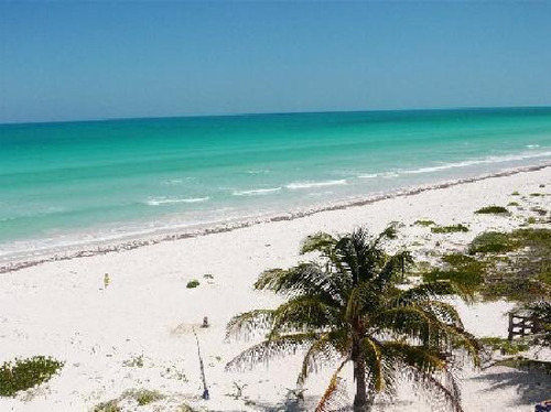 Venta De Terreno/lote En Cuyo - Yucatan.