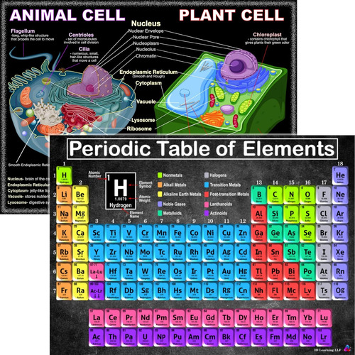 Pósteres De Ciencia De Tablas Periódicas Y Células, ...