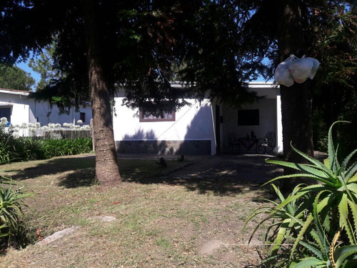 Casa De 1 Dormitorio En San Luis Sur