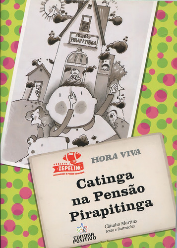 Catinga Na Pensão Pirapitinga, De Martins, Cláudio. Hora Viva, Vol. 1. Editorial Positivo, Capa Mole Em Português