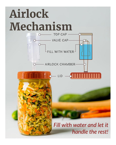 Elementi Mason Jar Kit De Fermentación Juego De 4 Pesos De Y