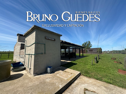 Se Alquila Chacra Con Salón De Eventos Y Canchas De Futbol Rincón Del Cerro Montevideo Rural