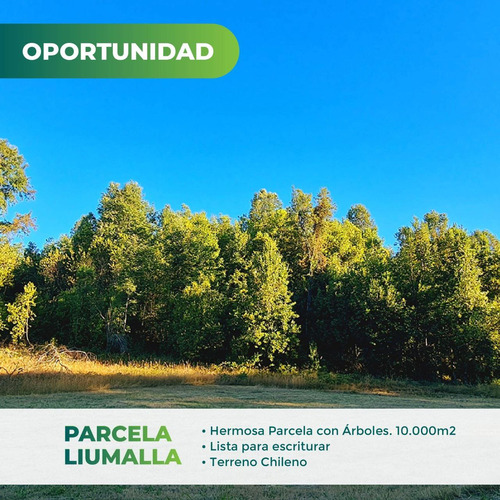 Parcela Una Hectarea /  Oferta / A 15 Km De Villarrica