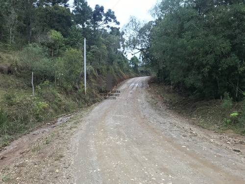 Chácara A Venda No Bairro Centro Em Bocaiúva Do Sul - Pr. - 217-1