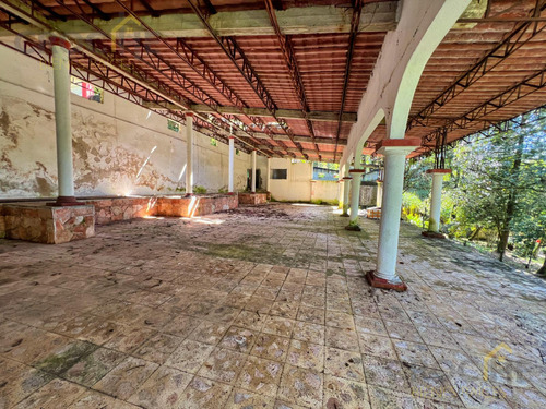 Local En Renta En Plaza Buena Vista Campestre Zona Briones Coatepec Ver.