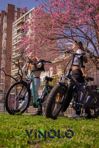 Imagen 5 de 18 de Bicicleta Electrica Viñolo Vehiculos Electricos /m