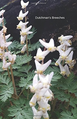 Dutchmans Breeches Journal (wildflowers)