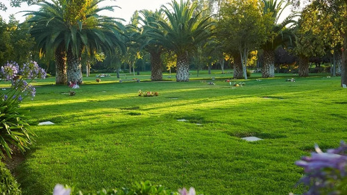 Lote En Cementerio Para 6 Personas, Parque Del Recuerdo