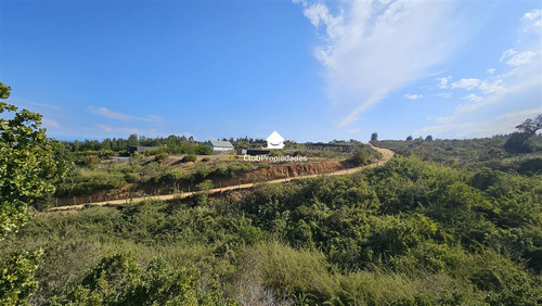 Se Arrienda Terreno Con Cabañas En Comuna De Algarrobo