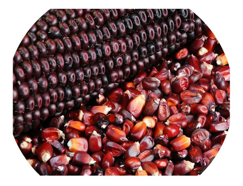 1 Kg. Semillas De Maiz Rojo Autoctono - Zea Maiz Natural