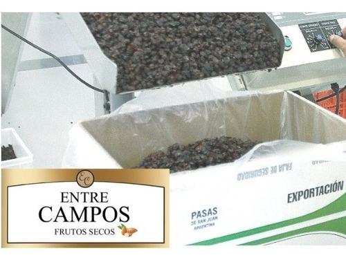 Pasas De Uva Morochas Flame X 10kg. De Exportación Premium