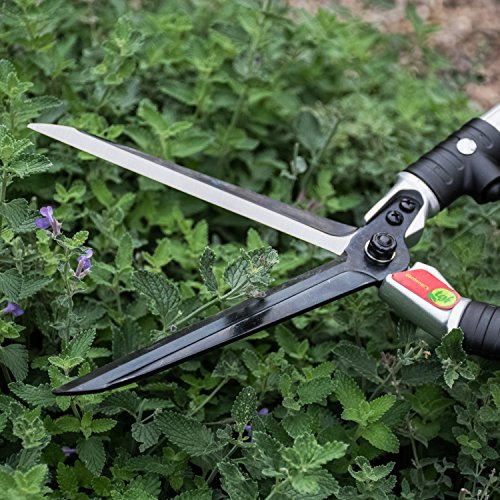 Cortasetos De Mango Largo Y Tijeras De Podar