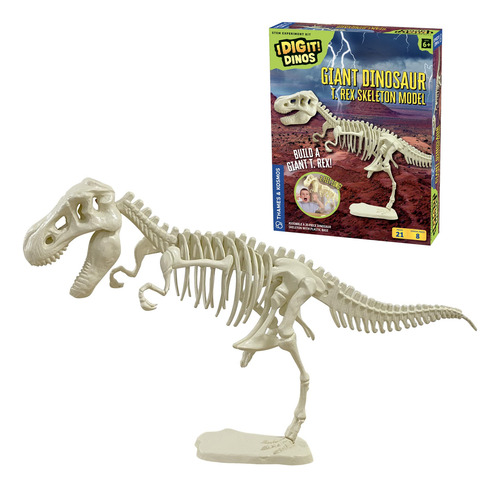 Kit De Esqueleto De Dinosaurio Gigante 66 Cm Actividad Stem