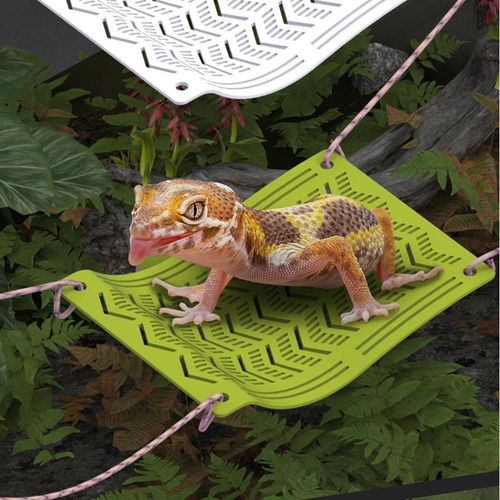 Hamaca De Reptiles, Hamaca De Dragón, Tumbona De Verde