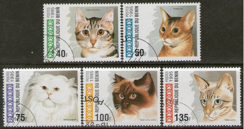 Benin 5 Sellos Usados Diferentes Gatos Domésticos Año 1995