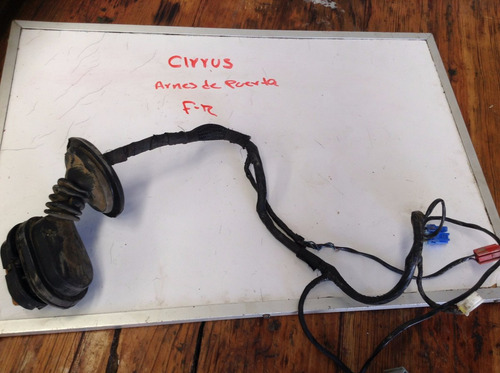 Arnes De Puerta Cirrus Stratus Mod: 95-00 Oem (c/u)