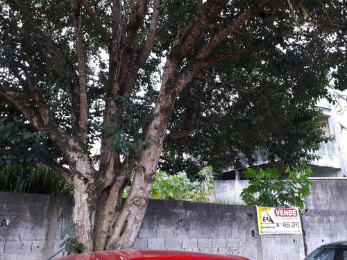 Imagem 5 de 6 de Terreno Residencial À Venda, Jordanópolis, Arujá. - Te0229