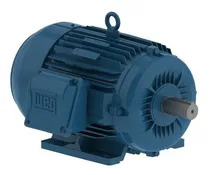 Comprar Motor Elétrico Trifásico W22 Ir3 Premium 2cv 4p 220\u002F380v Weg