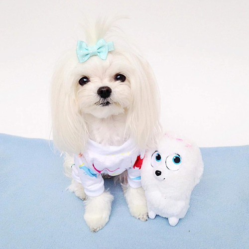Conjunto De Pijama Para Perro O Gato Suave Y Acogedor De Fle