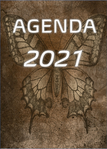 Imagem 1 de 5 de Agenda 2021 Vintage Borboleta